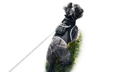 Get Accurate Pet Locations w/ Pet Tracker Realtime Dog Collar GPS Tracker Size:M Get Accurate Pet Locations w/ Pet Tracker Realtime Dog Collar GPS Tracker Size:M